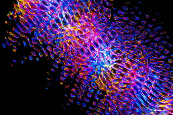 Abstraktní digitální umění, zářivé barvy, jedinečné textury, dynamické umělecké dílo, Moderní designy, zblízka střílel, abstraktní pozadí, digitální umělecká díla, Barevné vzory, abstraktní textury, digitální vzory