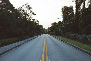 straight empty road, tree-lined road, daytime road, serene road, travel theme, nature theme, twilight sky, empty street, road between trees, peaceful road, rural road