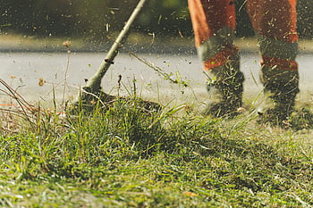 taglia erba, persona falciata, taglio di erba, giardino soleggiato, attività all'aperto, cura del prato, strumenti da giardinaggio, erba verde, manutenzione del prato, lavoro in giardino, Falciare l'erba