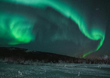 Northern Aurora Lights, aurora borealis, starry night, snowy landscape, enchanting aurora, green aurora, night sky, winter scenery, natural phenomenon, polar lights, northern lights