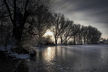 frozen Lake, forest, sunset, snow, trees, landscape, nature, germany, bavaria, dusk, winter