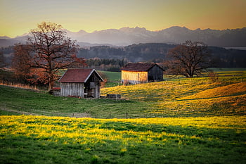 foden, bayern, natur, landskab, bjerge, Alperne, landbrug, felter, bakke, hytte, alm