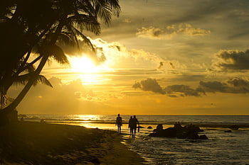 puesta de sol, playa tropical, unawatuna, Sri Lanka, palmeras, vista al mar, silueta, Tres personas caminando, costa, pacífico, noche