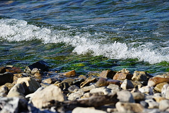 Rusko, Bajkal, jezero, Studený, voda, Příroda, detailní, soustředit se, letní, krása, Průhledná