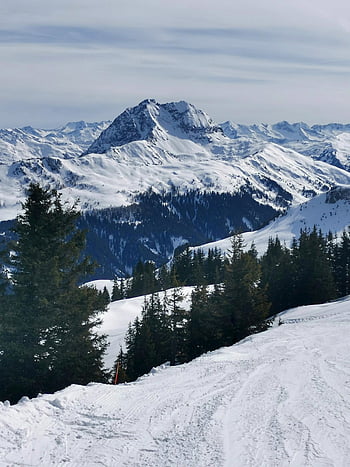 mountains, snow, winter, trees, forest, woods, snowdrift, ski Area, nature, landscape, panorama