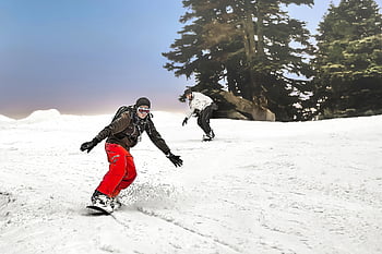 χιονοσανίδα, χιόνι, φύση, snowboard, χειμώνας, άθλημα