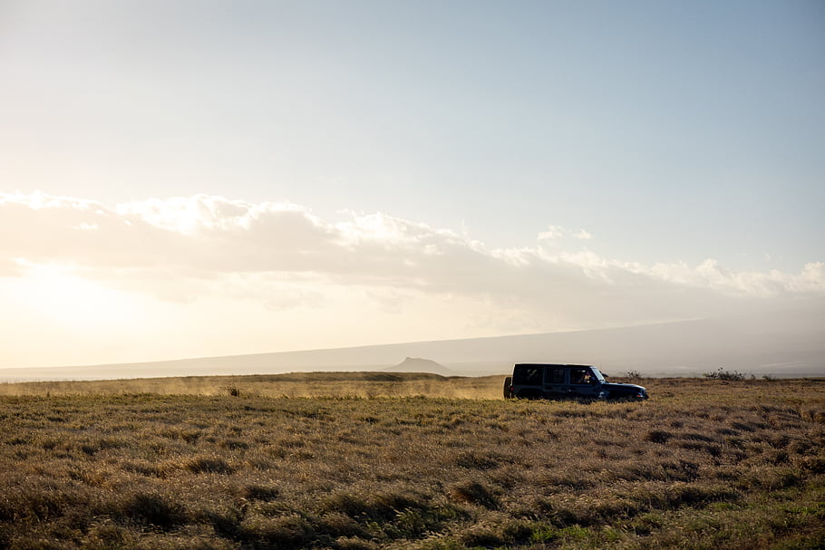 safari, adventure, transportation, jeep, offroad, travel, auto, driving, vehicle, road, landscape