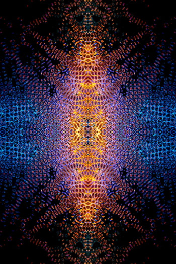 Digitální Abstrakt, barevný vzor, symetrický fraktál, Vibrující odstíny, abstraktní design, digitální umění, Fraktální Design, abstraktní pozadí, barevné abstraktní, Digitální vzor, zářivé barvy