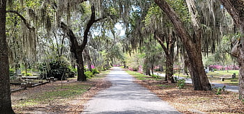 bonaventure hřbitov, savannah ga, Půlnoční zahrada, dobré zlo