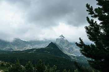 tatra hory, zakopane, Polsko, horské scenérie, zatažená obloha, svěží borovice, nádherný výhled, přírodní krajina, horské vrcholy, zalesněné kopce, cíl cesty