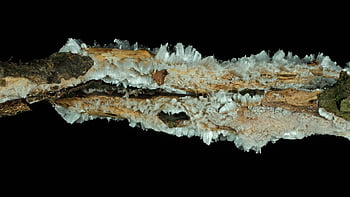 ice, ice Crystals, the Formation Of Ice, frost, frozen