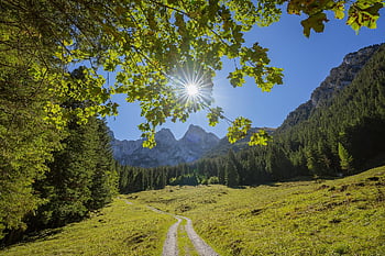 mountains, grassland, forest, mountain Landscape, grasslands, trees, path, trail, hike, lighting Mood, nature