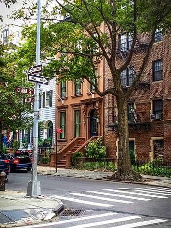 brooklyn street, historiske bygninger, træer, Ikoniske brunsten, clark street, byens gade, lejligheder facade, new york, USA, livlig gadescene, historisk arkitektur