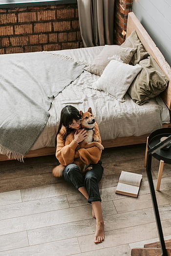 žena objímání psa, shiba inu, Útulná ložnice, podlaha, teplo, společnost, otevřená kniha, dřevěná podlaha, lůžko, polštáře, deka