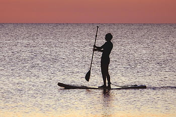 paddleboarding, standup Paddleboarding, sea, water Sport, nature, vacation, leisure, sunset, ocean, recreational, woman