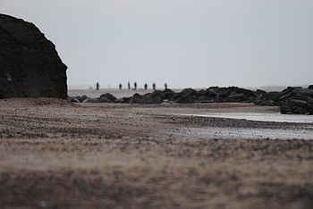 beach, nature, sand, sea, north Sea, winter, walk, denmark