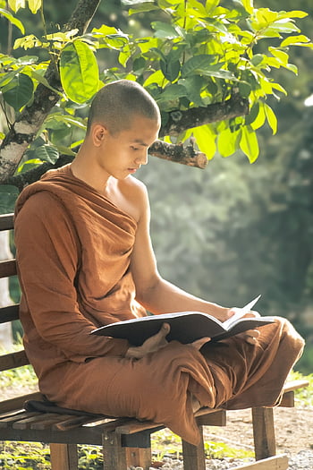 mnich, čtení, buddhismus, theravada buddhismus, bhikkhu, buddhista, náboženství, zpívání, duchovní, klášter, kultura