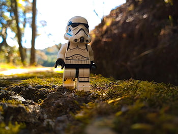 stormtrooper, hračka, lego, přízemní, charakter, hvězdné války, voják, venku, les, Příroda, detailní