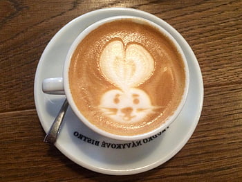 weiße Keramik Tasse, Untertasse, Kaninchenkunst, Kaffee, Holztisch, Café -Atmosphäre, Latté, Kaffeetasse, Keramiktasse, Holzoberfläche