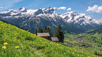 oberland bernese, Svizzera, montagne, Alpi, praterie, paesaggio, natura, panorama, paesaggio di montagna, panorama alpino, escursione
