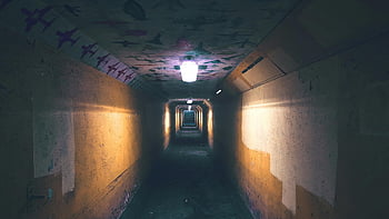 lighted hallway, dimly lit tunnel, urban tunnel, eerie atmosphere, mysterious atmosphere, tunnel lighting, hallway lighting, dim lighting, tunnel ceiling, tunnel walls, tunnel art