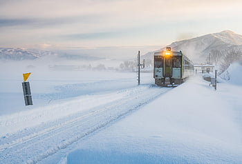 train, local Railway, diesel Train, winter, snow, early Morning, cold, nature, mist, tohoku Japan