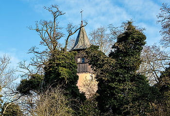 Švédská věž, věž, stromy, Příroda, jezero konstanty, ostrov mainau, podzim