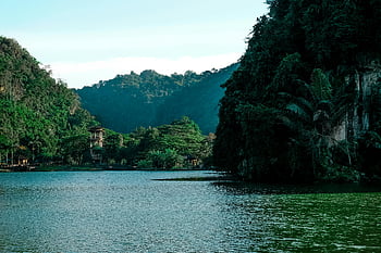 green trees, body of water, natural landscape, lush vegetation, calm water, forested area, scenic view, outdoor scenery, tranquil setting, nature photography, greenery near water
