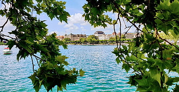 lake zurich, Zürich, bygning, operahus, sø, træ, udsigt over søen, bürkliplatz