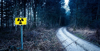 radiation warning sign, forest pathway, gloomy setting, trees, signpost, yellow sign, forest road, warning symbol, outdoor scene, nature, woods