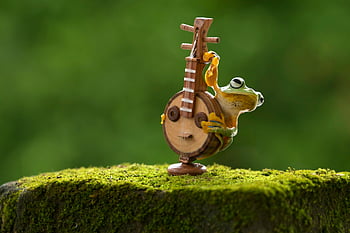frog, miniature instrument, moss, nature, adorable frog, close up shot, interacting, outdoor scene, green background, wildlife photography, cute animal