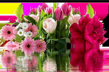 roses, gerbera, flower, blossom, bloom, flower Wallpaper, bunch Of Flowers, pink, beautiful Flowers, plant, nature