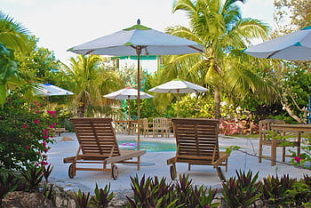 poolside setting, brown wooden lounge chairs, tropical getaway, palm trees, umbrellas, serene poolside, outdoor relaxation, vacation spot, poolside furniture, lush greenery, tropical plants