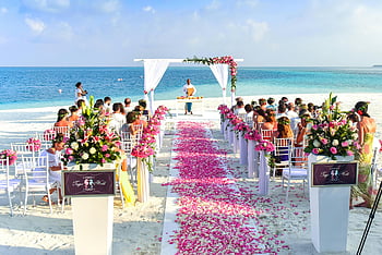 beach wedding, daytime ceremony, outdoor wedding, rose petals, guests, ocean view, floral decorations, white chairs, wedding arch, tropical beach, wedding setup