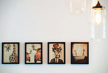 giraffe-themed artworks, framed paintings, modern interior, warm lighting, wall display, four paintings, giraffe art, framed giraffe pictures, interior decor, wall art, modern art