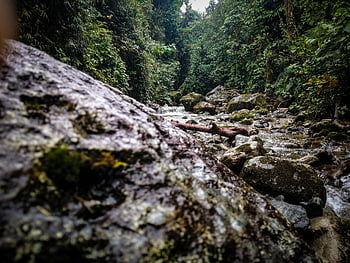 naturaleza, ecuador, medioambiente