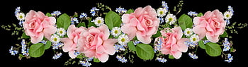 flowers, pink, roses, daisies, beautiful Flowers, flower Background, arrangement, garden, flower Wallpaper, nature