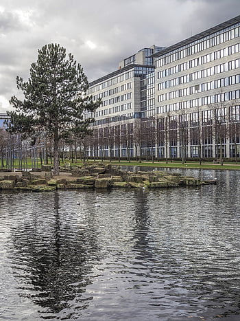 architecture, office Building, building, nature, modern, window, glass, facade, city, company, heaven
