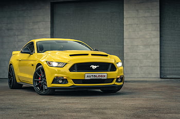 Yellow Ford Mustang, parked driveway, modern building backdrop, outdoor car photo, striking yellow car, Ford Mustang GT, car photography, automotive photography, yellow sports car, car enthusiasts, Mustang GT model