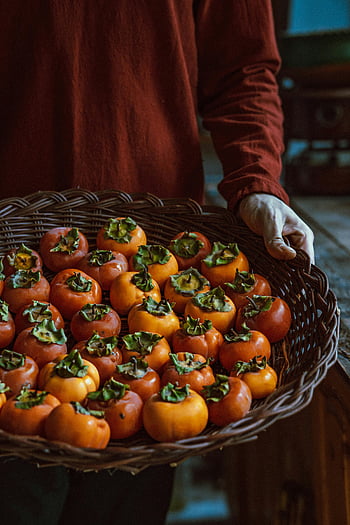 persimmons, wicker basket, autumn harvest, ripe persimmons, person holding basket, fall fruits, seasonal produce, orange fruits, harvest season, natural produce, wicker container