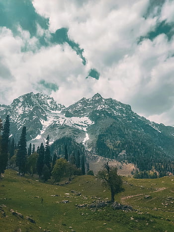 Green Trees, Rocky mountain, Snow-covered mountains, lush greenery, Sonamarg, Kashmir, cloudy winter day, mountain landscape, natural scenery, winter landscape, green forest