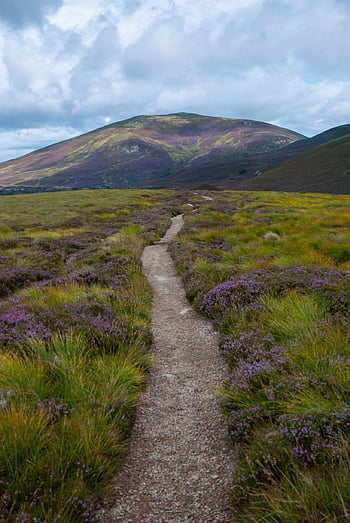 bynack More, cairngorms, trail, meadow, hill, mountain, landscape, scotland, highlands