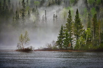 river, forest, fog, landscape, trees, conifers, mist, lake, spring, climate Change, nature
