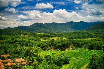 공중 발사, 경작지, 무성한 녹색, 계단식 논, 산들, 농촌 Purwakarta, 인도네시아 공화국, 조감도, 시골 풍경, 초록 들판, 산악 지형