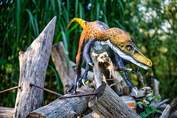 dinosaurios, jurásico, prehistoria, naturaleza, animales, reptiles, antiguo