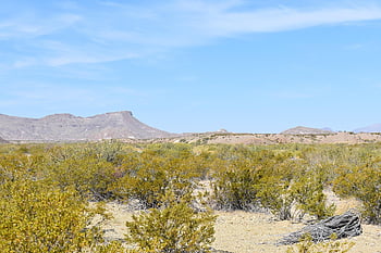 desert, big Bend, texas, mountains, landscape, rocks, scenic, park, national, big, bend