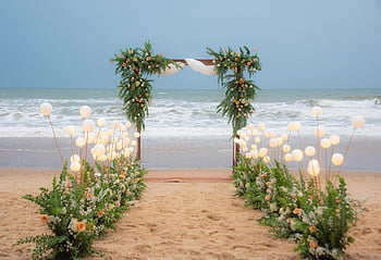 beach, wedding, love, marriage, happy, romantic, nature, rose