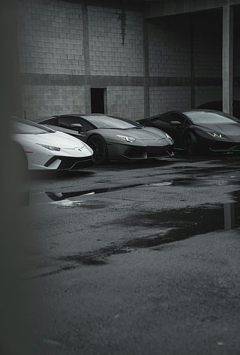 monochrome photo, parked Lamborghini, sleek sports cars, industrial lot, luxury automotive, trio of cars, parked cars, Lamborghini cars, automotive themes, industrial setting, monochrome image