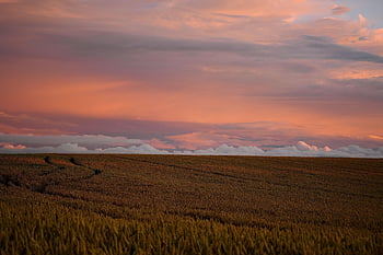 veld-, platteland, landschap, natuur, wolken, hemel, buitenshuis