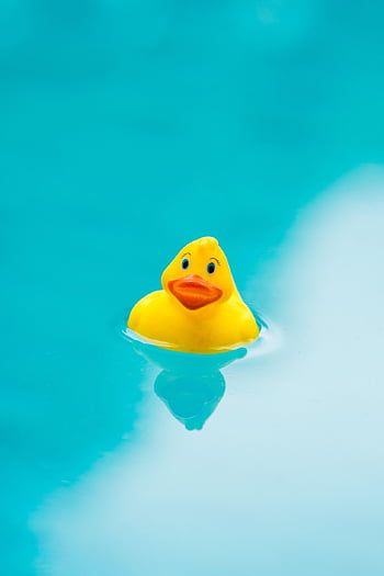 rubber Duck, rubber Duckie, pool, bath, swimming Pool, swimming, toy, yellow, fun, pool Water, swimming Duck